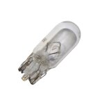 Ampoule wedge flosser 6v w3w 2, 1x9, 5d