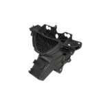 Araigne de carnage kawasaki zx 6r 09 - 10
