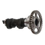 Arbre � cames simple hotcams stage 1 pour honda 450 crf - r 17 - 20