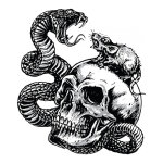 Autocollant lethal threat tête de mort serpent rat 60x80 mm Autocollant lethal threat tête de mort serpent rat 60x80 mm