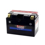 Batterie power thunder ytx7l - bs