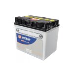 Batterie tecnium 52515 12v 25 ah