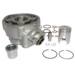 Cylindre 1tek origine fonte am6 2000 -