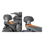 Dosseret passager givi bmw ce - 04 22 - 25 Dosseret passager givi bmw ce - 04 22 - 25