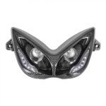 Double optique r8 nitro carbone Double optique r8 nitro carbone
