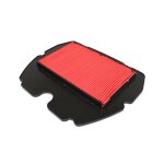 Filtre  air hiflofiltro hfa1605