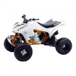 Honda quad 450 trx 2009 1:12 newray blanc / or