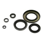 Joints spi de carter moteur centauro aprilia rs4 125 11 - 17