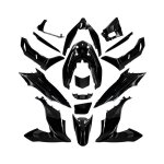 Kit carnage allpro 17 pices noir nacr honda pcx 125 2018 - 20