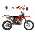 Kit d�co blackbird rockstar energy beta 300rr 13 - 17