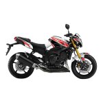 Kit déco kutvek brillant replica rouge yamaha fz 8 n 10 - 17 Kit déco kutvek brillant replica rouge yamaha fz 8 n 10 - 17