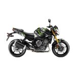 Kit déco kutvek brillant trash noir / vert yamaha fz 8 n 10 - 17 Kit déco kutvek brillant trash noir / vert yamaha fz 8 n 10 - 17