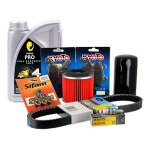 Kit entretien sifam trier hengtong + huile semi - synthtique 1l