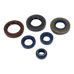 Kit joints spi artein pour moteur minarelli am6