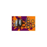Kit reparation de bras oscillants pour honda cr125r 2002 - 07