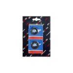 Kit de rvision de vilebrequin ntn cage plastique scooter piaggio