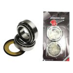 Kit roulement de direction brazoline yamaha yzf - r6 06 - 08
