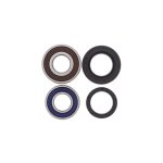 Kit roulements et joints de roue ar all - balls racing 25 - 1747 harley v