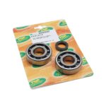 Kit roulements + joint spi majesty 125 4t