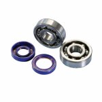 Kit roulements de vilebrequin am6 - polini 6303 c4 cage acier + joint