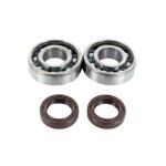 Kit roulements joints spy vilebrequin skf c4 peugeot ludix