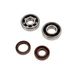 Kit roulements de vilebrequin am6 - doppler 6303 / 6402 c4 tn9 cage po