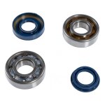 Kit roulements et spi de vilebrequin doppler mbk booster / nitro