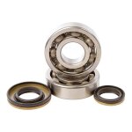 Kit roulements et spys de vilebrequin pour rm250 03 - 04 Kit roulements et spys de vilebrequin pour rm250 03 - 04