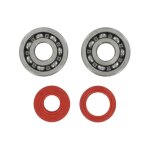 Kit roulements vilebrequin 6303 c4 tpi racing pour am6 Kit roulements vilebrequin 6303 c4 tpi racing pour am6
