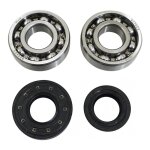 Kit roulements de vilebrequin et joints spi 6204 c3 mbk booster / nitr