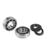 Kit roulements de vilebrequin et joints spi 6204 c4 mbk booster / nitr