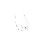 Pare - brise wrs caponord clair kawasaki versys 1000 12 - 19