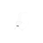 Pare - brise wrs sport clair bmw r 1150 r 03 - 05 Pare - brise wrs sport clair bmw r 1150 r 03 - 05