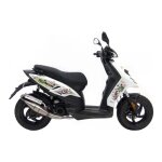 Pot d chappement scooter leovince hand made tt pour piaggio typhoo