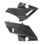 Prot�ge marche pieds droit et gauche xmax < 2010 (la paire)