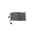 Radiateur d eau brazoline ducati 749 02 - 07