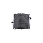 Radiateur d eau brazoline kawasaki zx - 10r 11 - 17