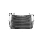 Radiateur d eau brazoline suzuki gsx - s 1000 16 - 18