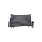 Radiateur d eau brazoline suzuki gsx1300r hayabusa 99 - 07