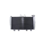 Radiateur d eau brazoline triumph speed triple 1050 05 - 10