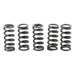 Ressorts embrayage newfren derbi