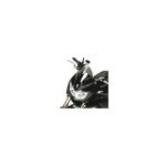 Saute vent bullster 30, 5 cm fum� noir kawasaki z1000 07 - 09