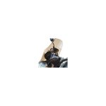 Saute - vent bullster 32 cm fum� noir honda 600 hornet 03 - 04