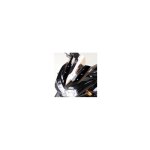 Saute vent bullster 33 cm fum� noir kawasaki z750 05 - 06