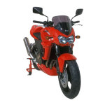 Saute - vent ermax haute protection 31 cm kawasaki z 1000 03 - 06 gris