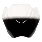 Saute - vent ermax hyperport 24 cm bmw f 900 r 20 - 25 clair