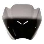 Saute - vent ermax hyperport 24 cm bmw f 900 r 20 - 25 noir clair
