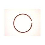 Segment unique 66. 4mm