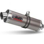 Silencieux mivv oval classic titane embouts inox bmw hp2 enduro 05 - 07