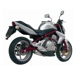 Silencieux mivv x - cone inox bross� kawasaki er - 6 f / n 05 - 11